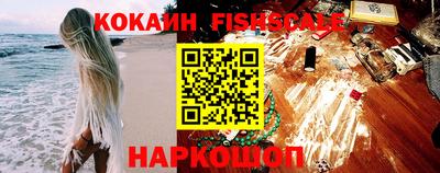 индика Можга