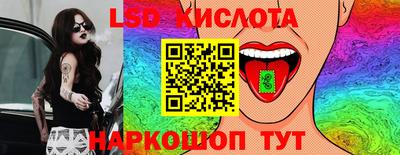 индика Можга