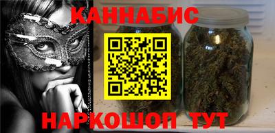 индика Можга