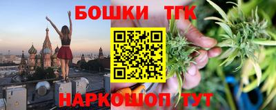 индика Можга