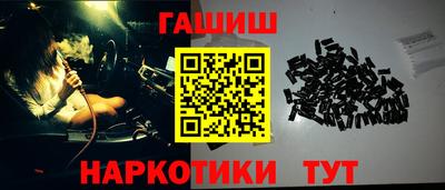 индика Можга