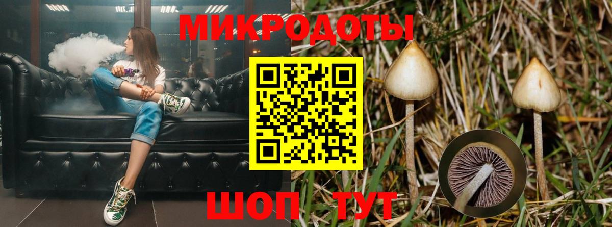 Строитель  Псилоцибиновые грибы прущие грибы  Вход с VPN 