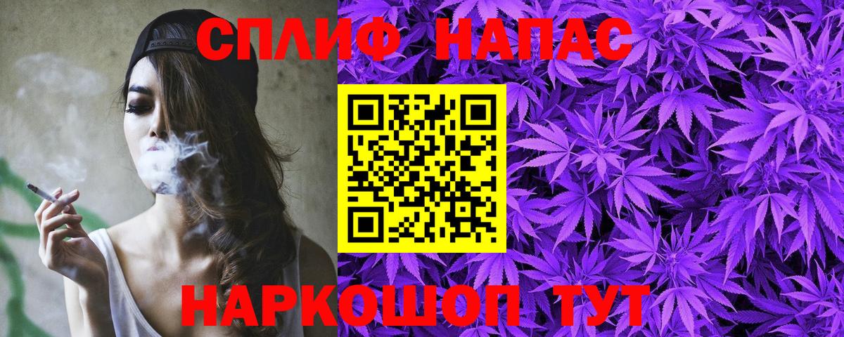 Конопля AK-47  Канабис планчик  Вход с VPN  Строитель  Канабис сатива 